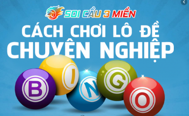 cầu loto xíu chủ mn vip