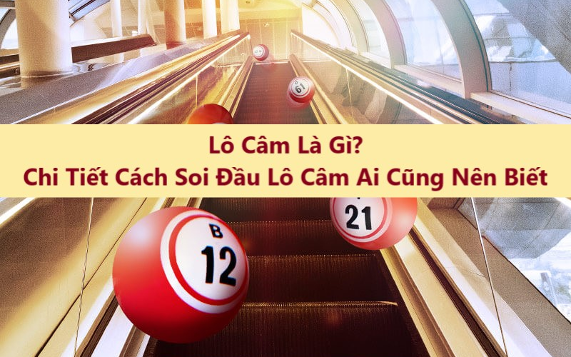 Tìm hiểu về lô đầu 8 câm nên và không nên làm gì?